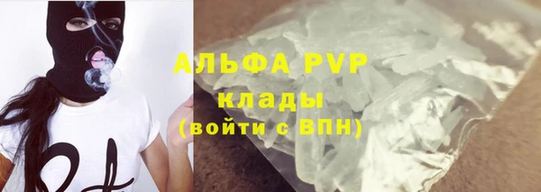 гидра Алексин
