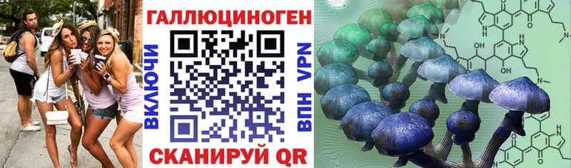 кракен   Набережные Челны  Псилоцибиновые грибы MAGIC MUSHROOMS 